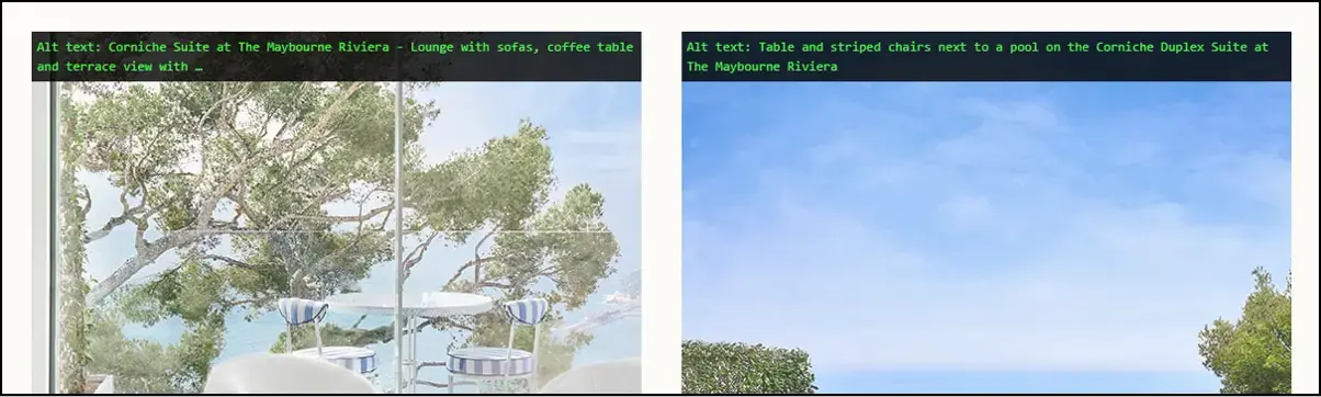 ALT Tag Viewer screenshot