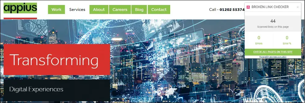 Broken link checker screenshot